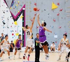 NBA传闻深度解析：雄鹿队内部关于特雷·杨交易讨论遇重大阻碍